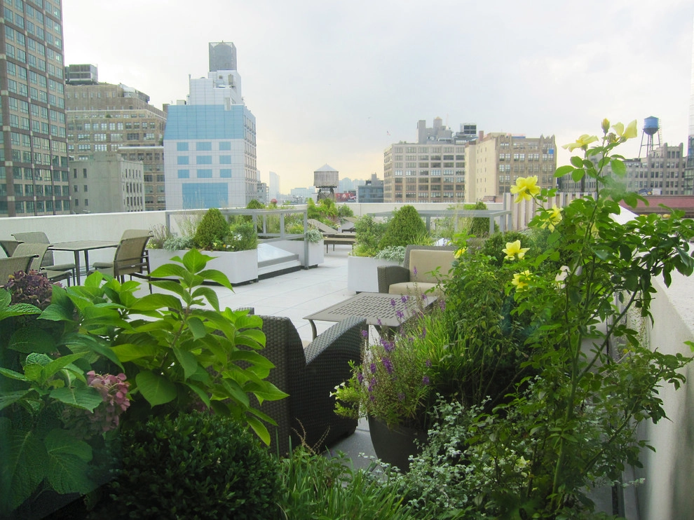 55 Thompson Street by PFI - Plant Fantasies, Inc - Photo 2