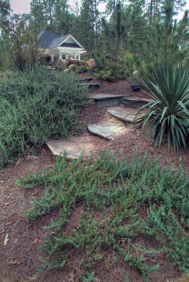 Focal Point by Crystal Pools LLC - Photo 6