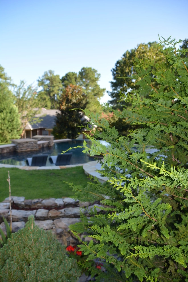Luxury Backyard by Crystal Pools LLC - Photo 5