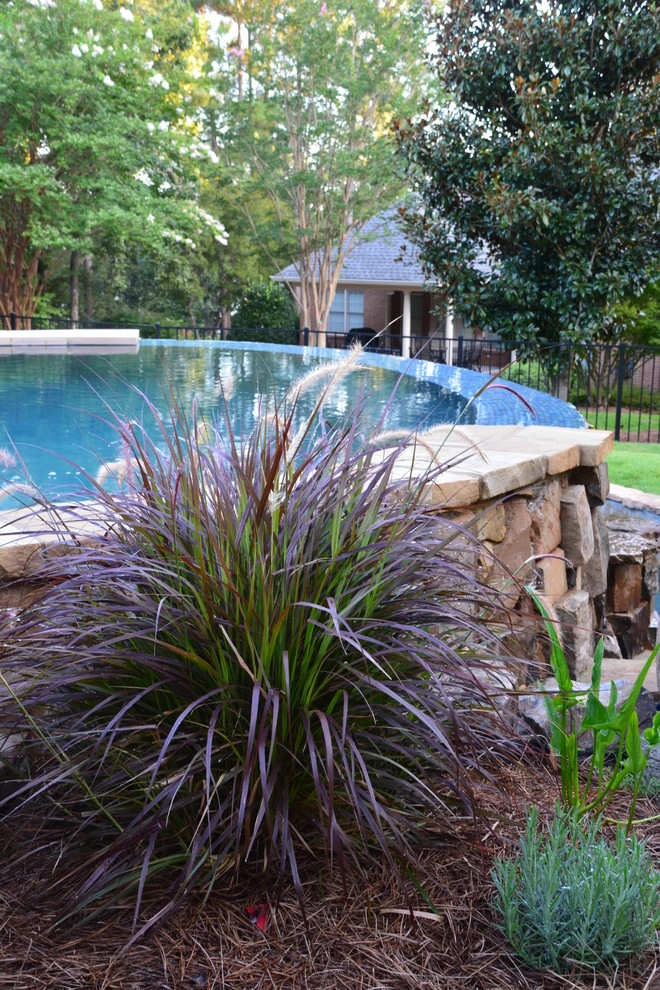 Luxury Backyard by Crystal Pools LLC - Photo 4