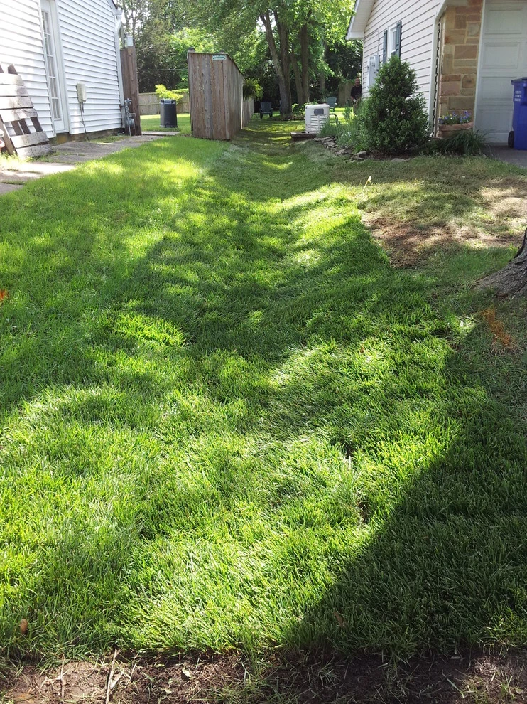Bowie - Backyard Renovation and Shed install by The Landscape Design Center - Photo 7
