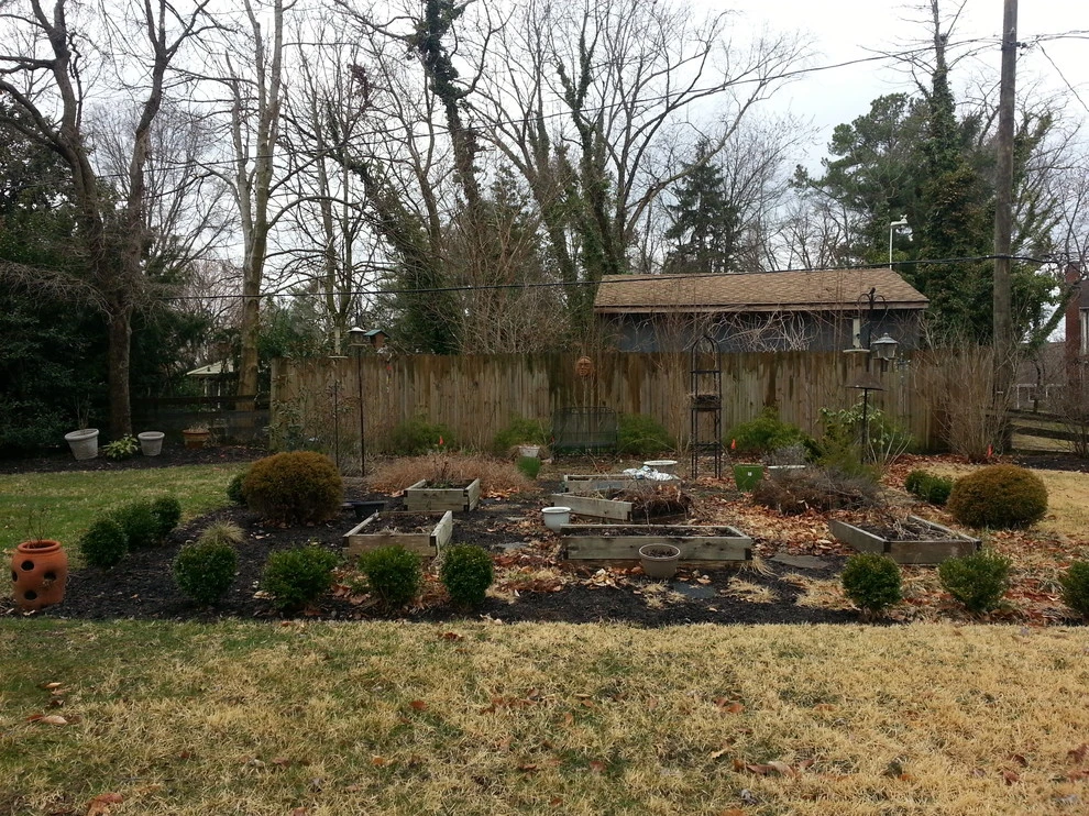 Bowie - Backyard Renovation and Shed install by The Landscape Design Center - Photo 2