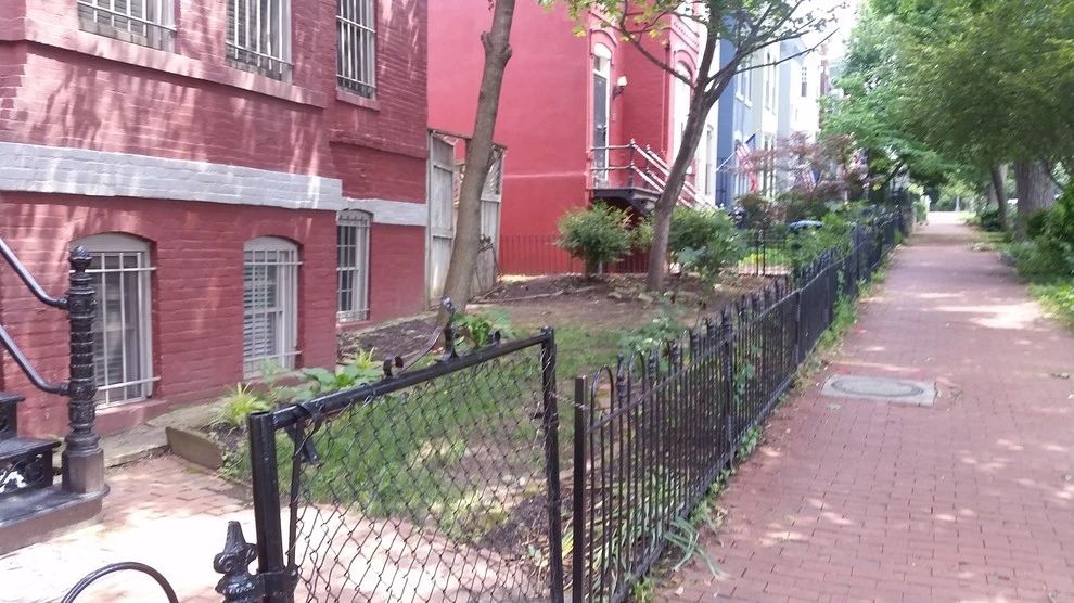 Washington DC Rowhouse Renovation by The Landscape Design Center - Photo 8