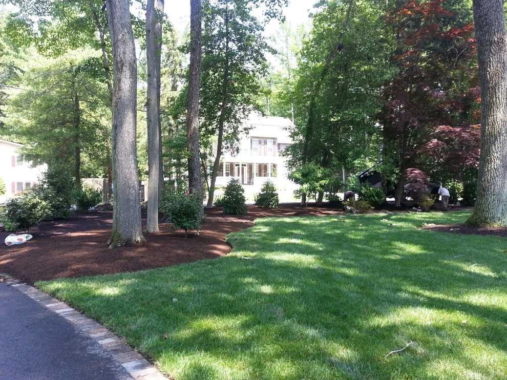 Large Front Yard Renovation by The Landscape Design Center - Photo 10
