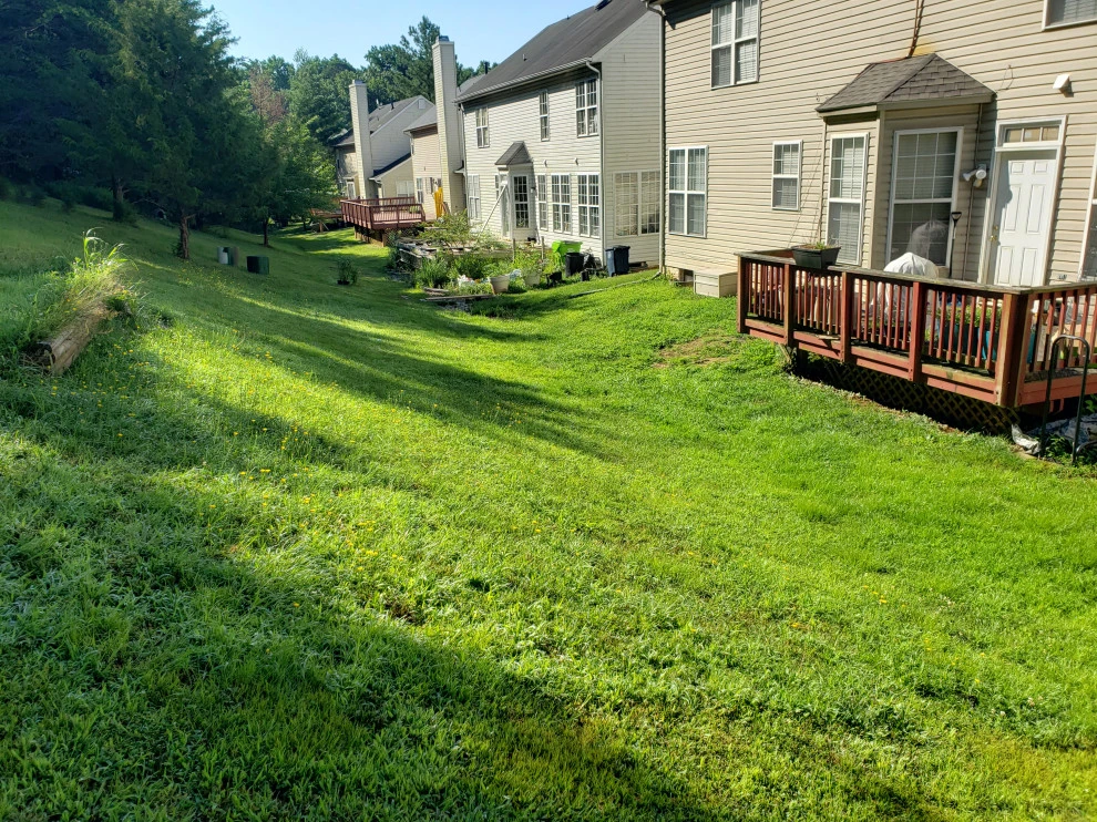 Riverdale Community Drainage Project by The Landscape Design Center - Photo 16
