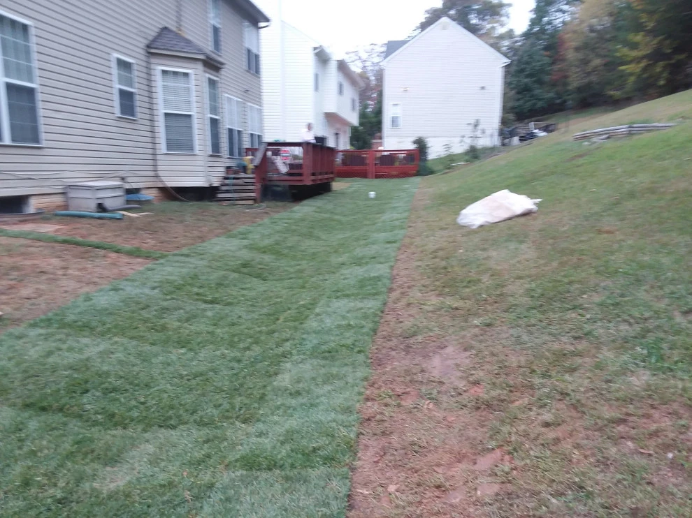 Riverdale Community Drainage Project by The Landscape Design Center - Photo 13