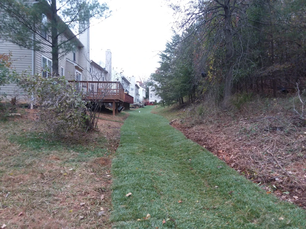 Riverdale Community Drainage Project by The Landscape Design Center - Photo 7