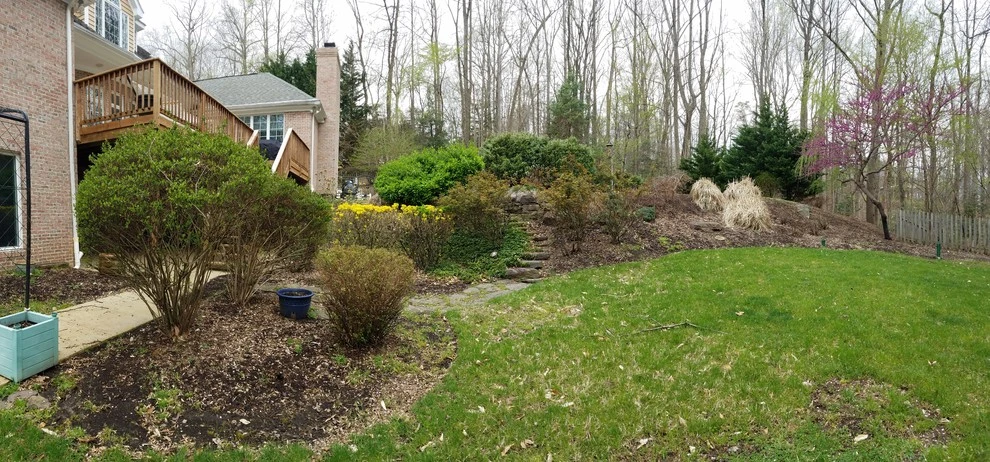 Crownsville Backyard Renovation by The Landscape Design Center - Photo 6