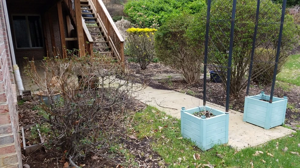 Crownsville Backyard Renovation by The Landscape Design Center - Photo 21
