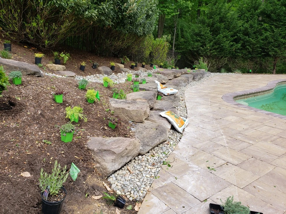Crownsville Backyard Renovation by The Landscape Design Center - Photo 19