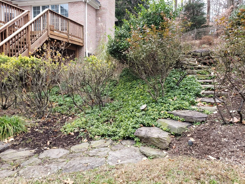 Crownsville Backyard Renovation by The Landscape Design Center - Photo 8