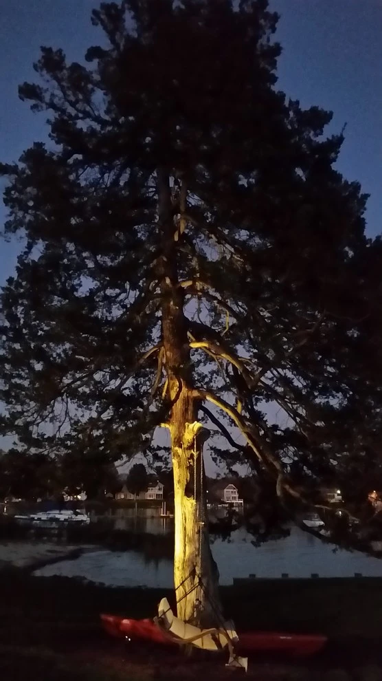 Edgewater - Major Lighting Renovation by The Landscape Design Center - Photo 11
