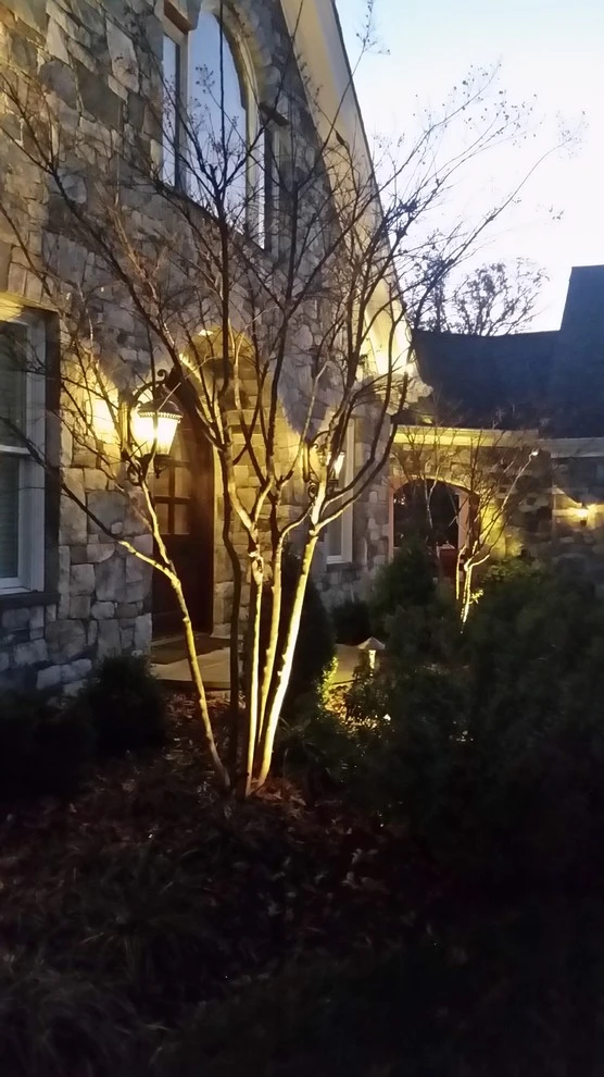 Edgewater - Major Lighting Renovation by The Landscape Design Center - Photo 8
