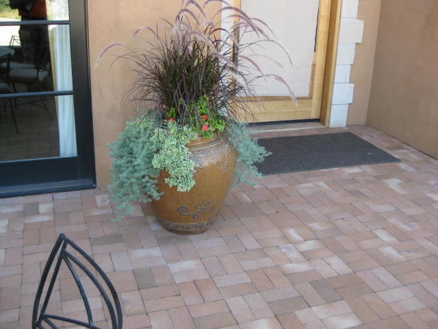 Pavers by Think Green, Inc. - Photo 23
