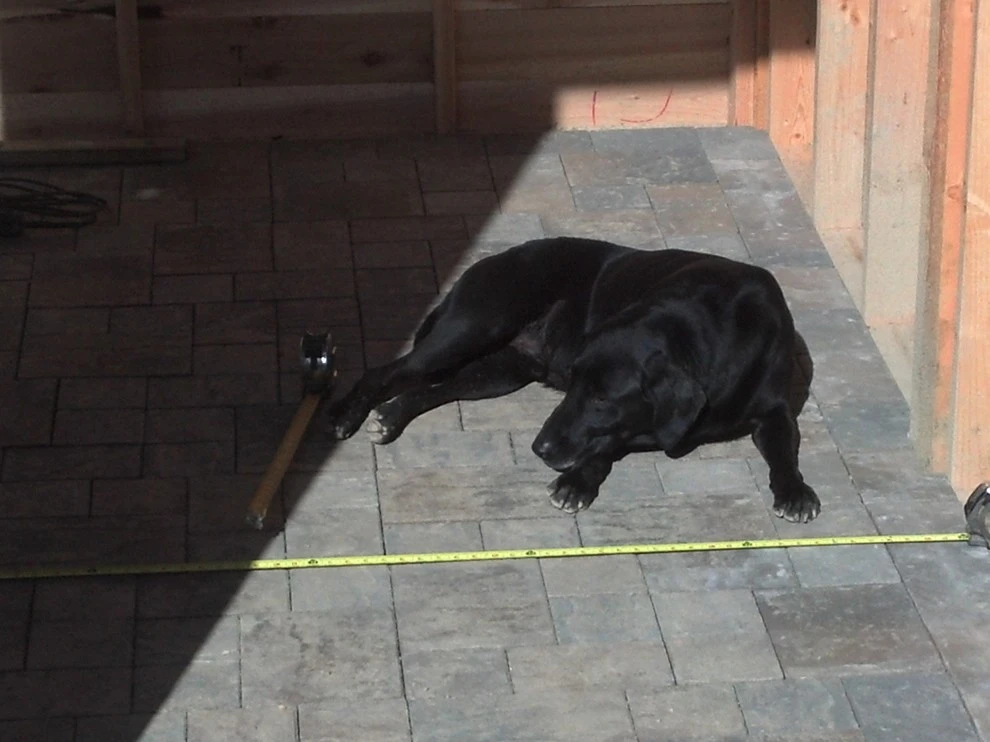 Pavers by Think Green, Inc. - Photo 44