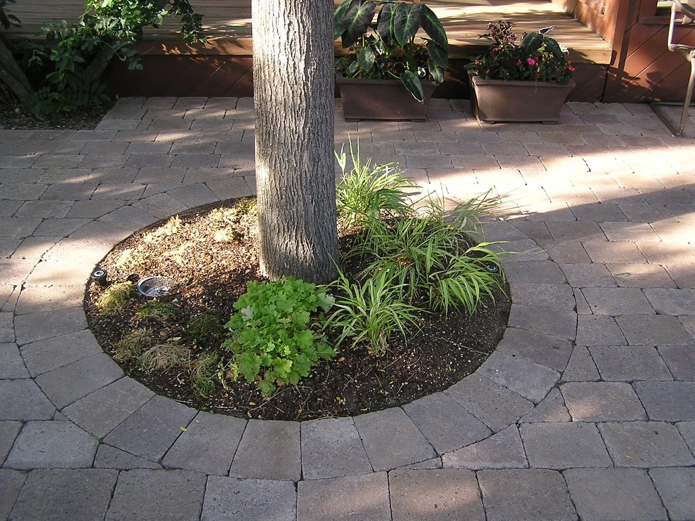 Pavers by Think Green, Inc. - Photo 36