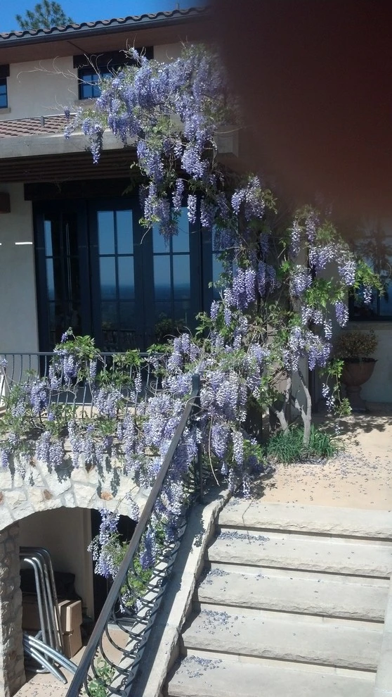 Landscapes by Think Green, Inc. - Photo 8