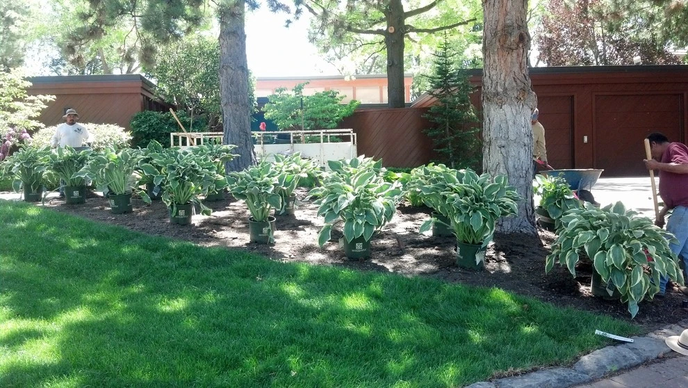 Landscapes by Think Green, Inc. - Photo 11