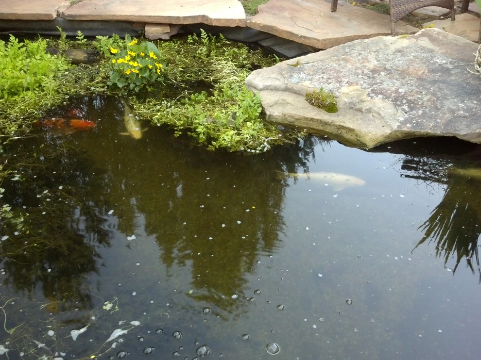 Water features by Think Green, Inc. - Photo 13