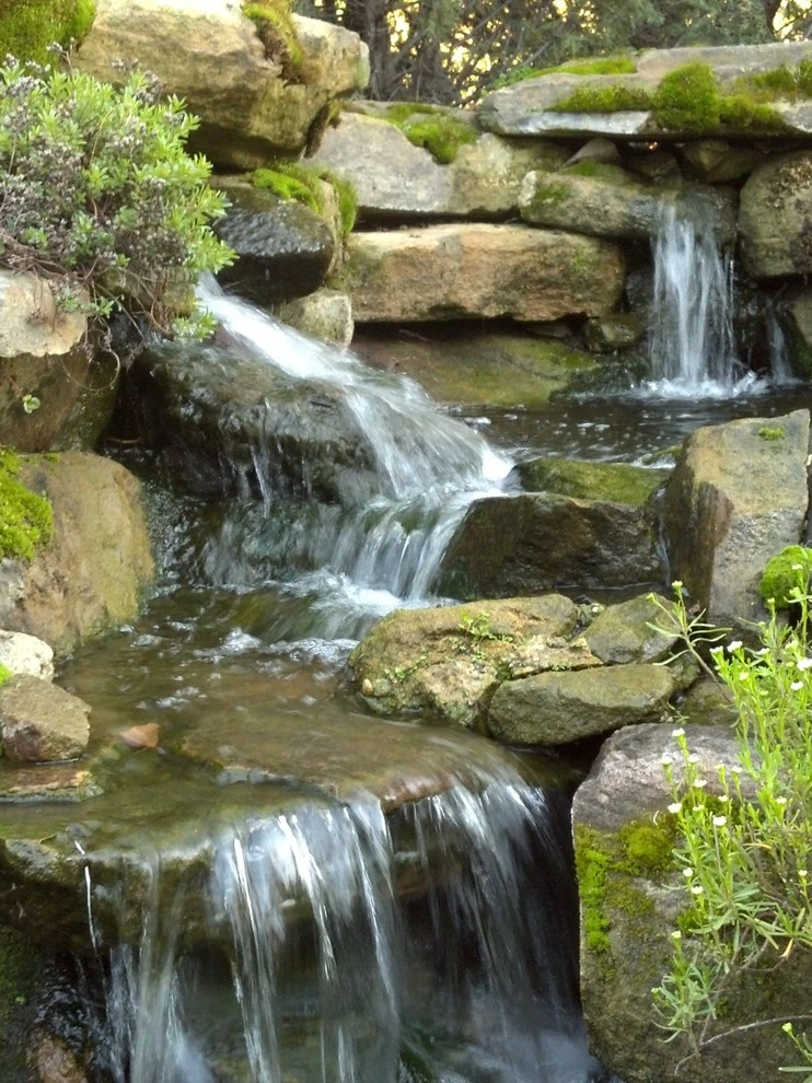Water features by Think Green, Inc. - Photo 9