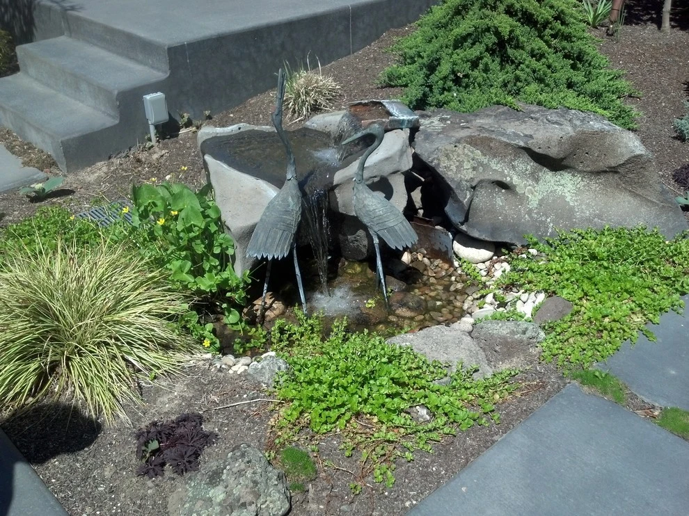 Water features by Think Green, Inc. - Photo 29