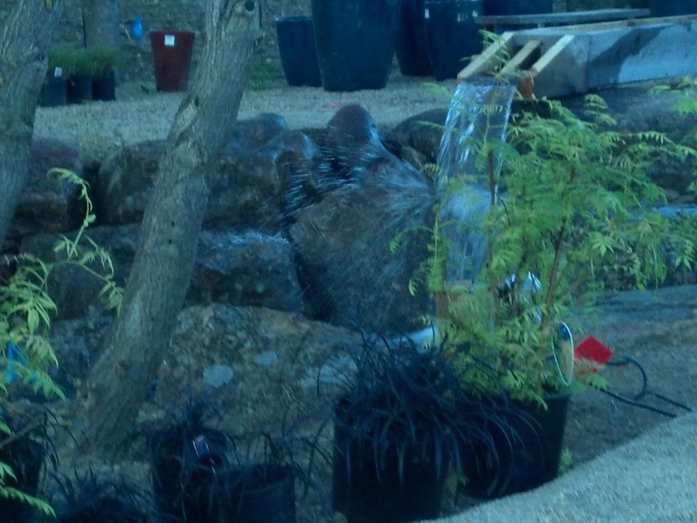 Water features by Think Green, Inc. - Photo 3