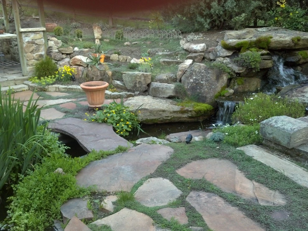 Water features by Think Green, Inc. - Photo 5