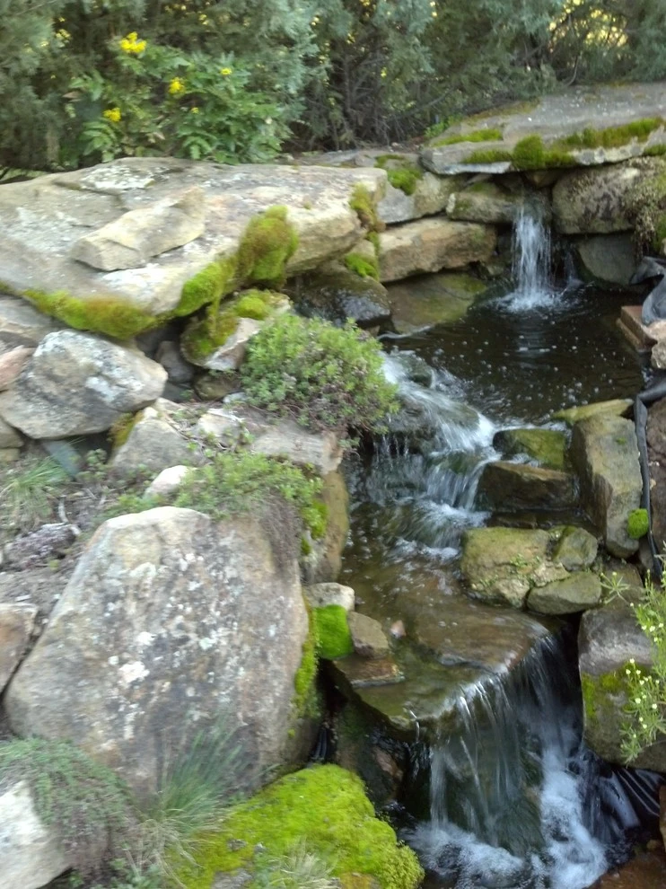 Water features by Think Green, Inc. - Photo 15