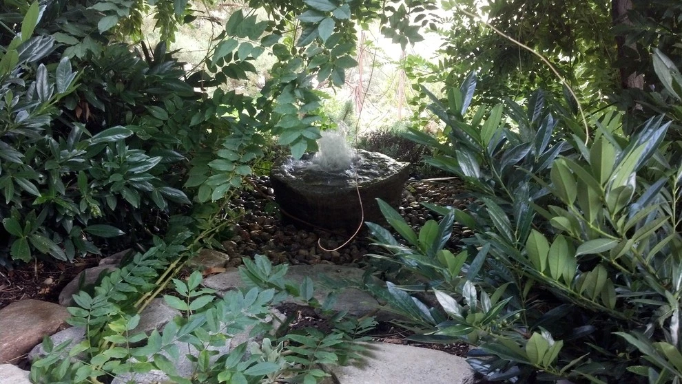 Water features by Think Green, Inc. - Photo 7