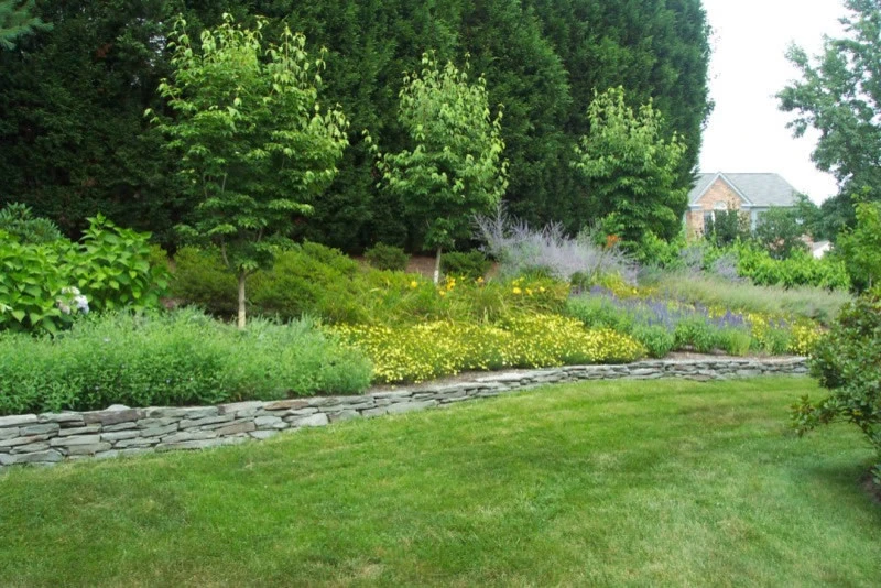 Tony's Lawn & Garden - Photo 7