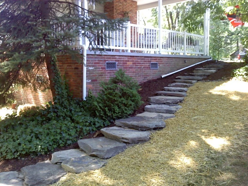 Tony's Lawn & Garden - Photo 3