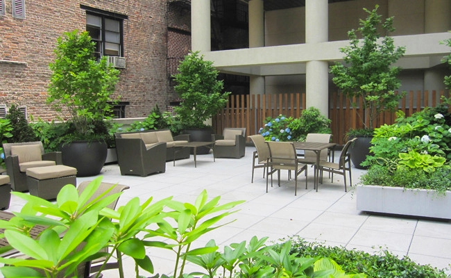 55 Thompson Street by PFI - Plant Fantasies, Inc - Photo 3