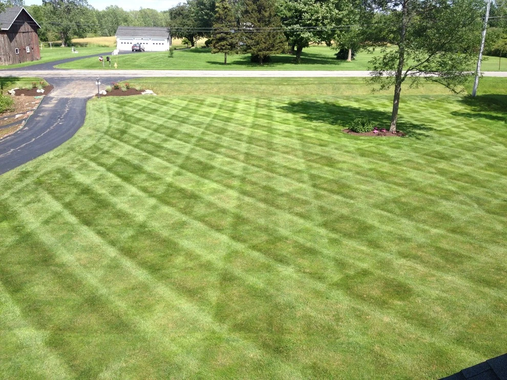 Trimline Landscape Management, Inc. - Photo 5