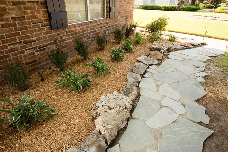 Cut Right Landscape And Tree - Photo 4