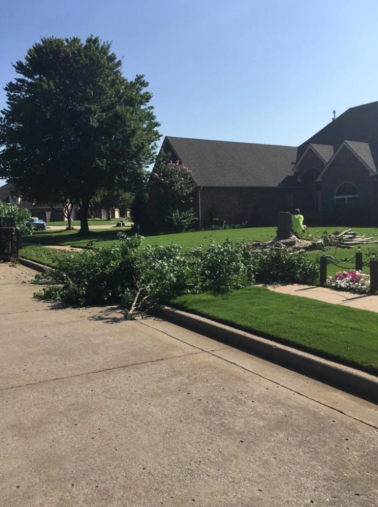 Tree Cutting by Cut Right Landscape And Tree - Photo 17