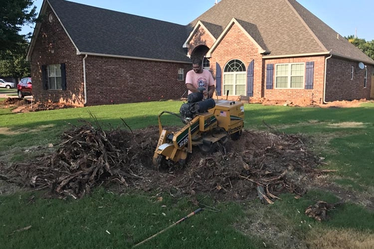 Tree Cutting by Cut Right Landscape And Tree - Photo 16