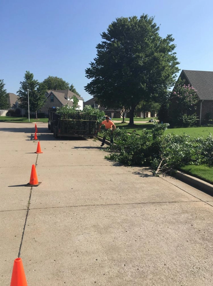Tree Cutting by Cut Right Landscape And Tree - Photo 24