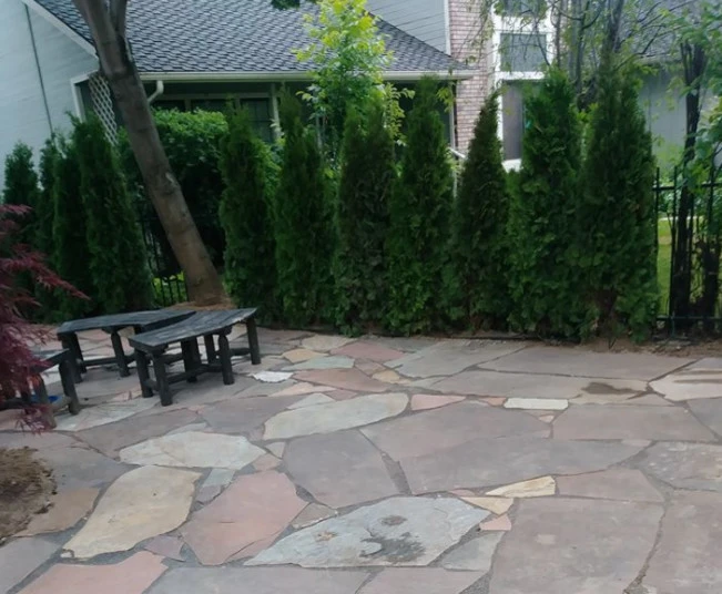 Sal & Kelly's Lawn Maintenance - Photo 12