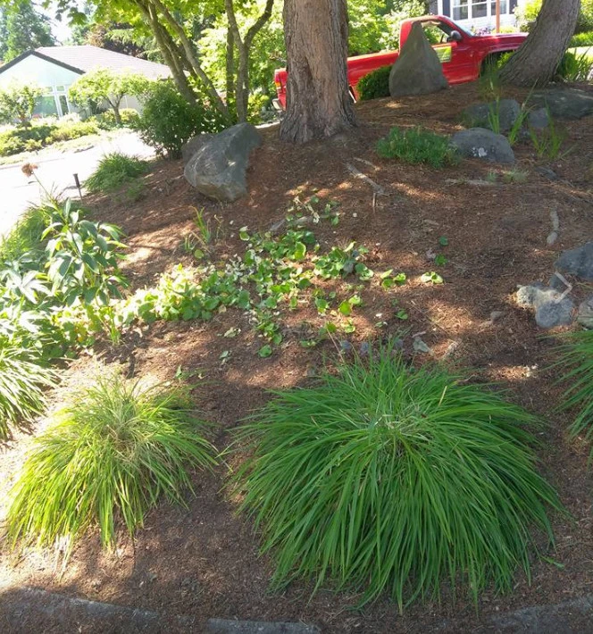 Sal & Kelly's Lawn Maintenance - Photo 9
