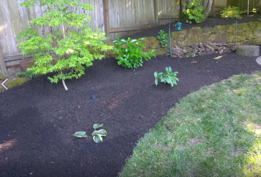 Sal & Kelly's Lawn Maintenance - Photo 7
