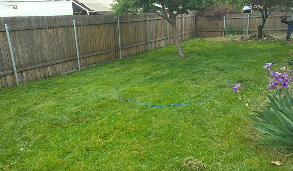 Sal & Kelly's Lawn Maintenance - Photo 11