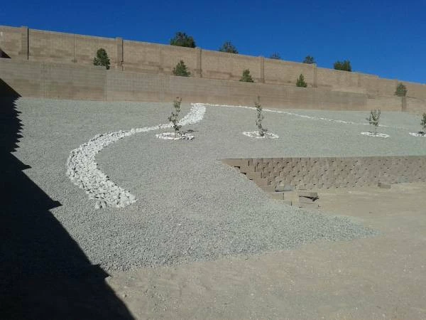 Sanchez Landscaping - Photo 4