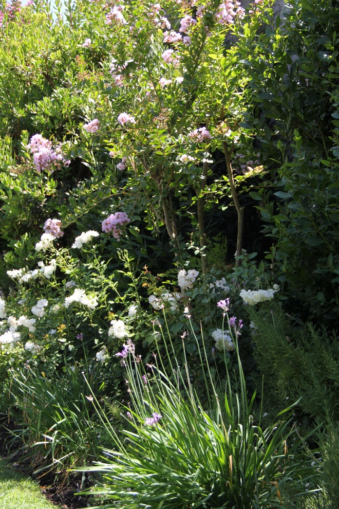 CV Landscape Studio - Photo 4