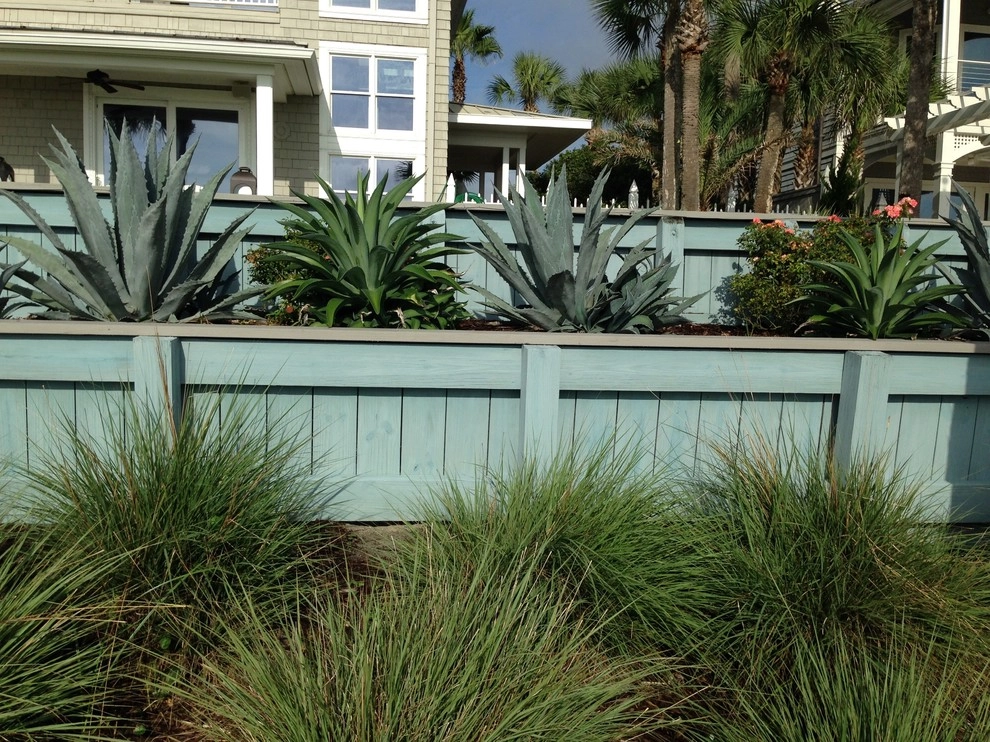 Beach Front Beauty by Cynthia Burns Landscape Design - Photo 3
