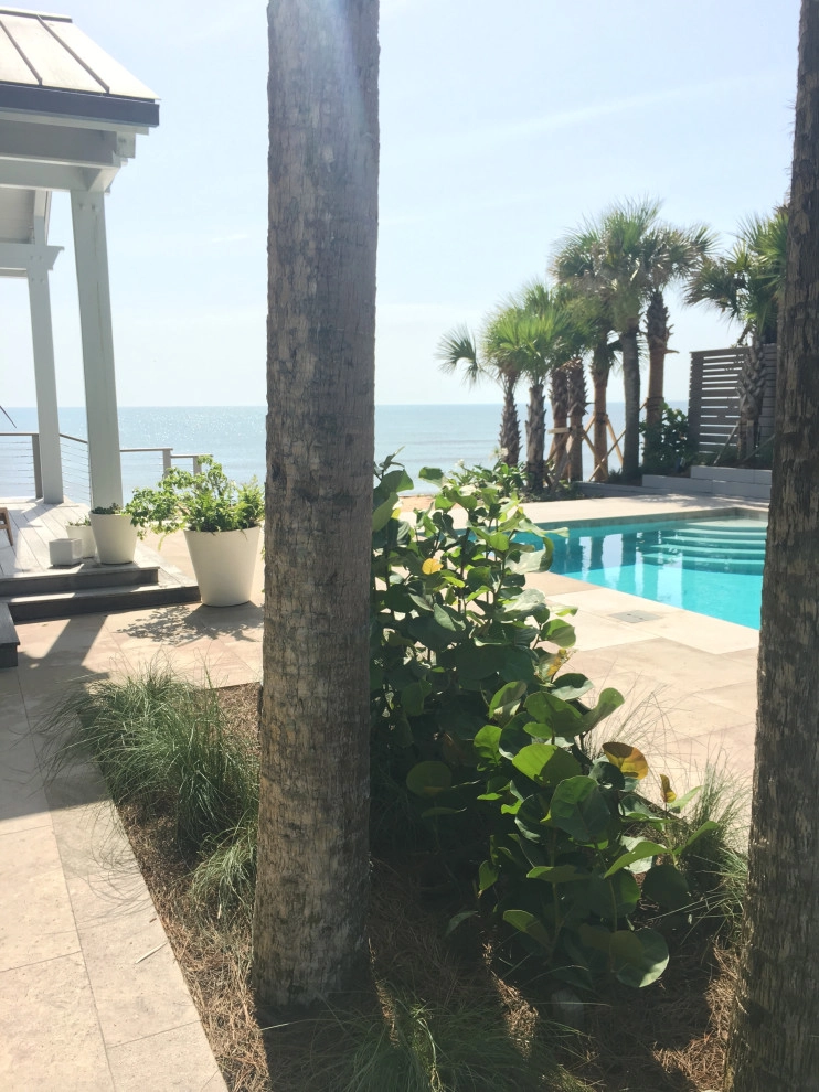 Ponte Vedra Beach - Dune Restoration by Cynthia Burns Landscape Design - Photo 4