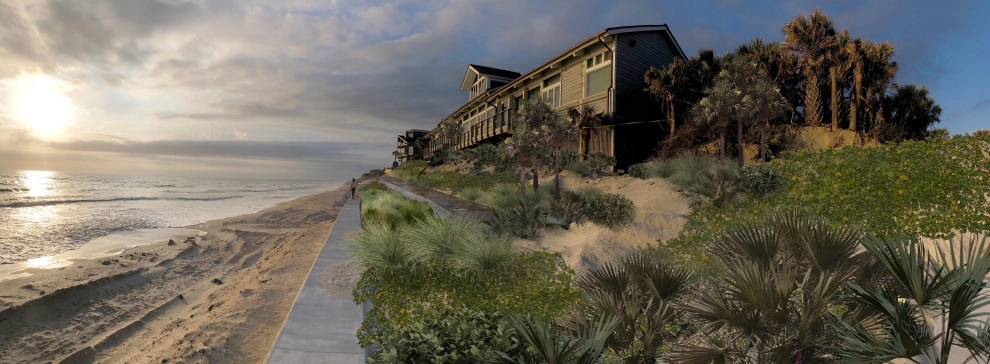 Ponte Vedra Beach - Dune Restoration by Cynthia Burns Landscape Design - Photo 5