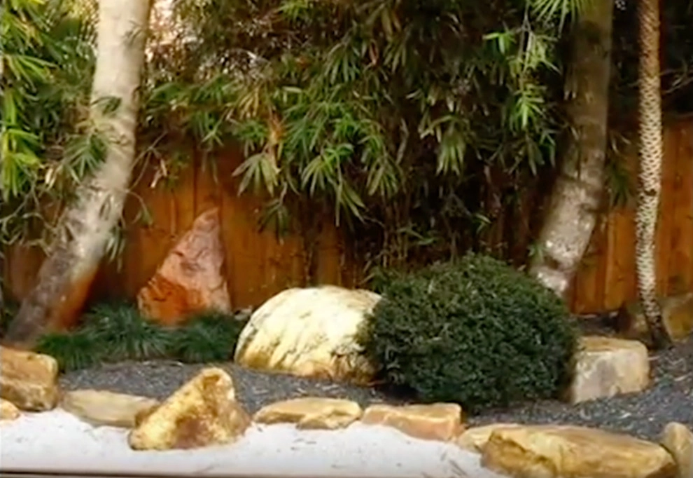 D Gonzalez Landscaping - Photo 7