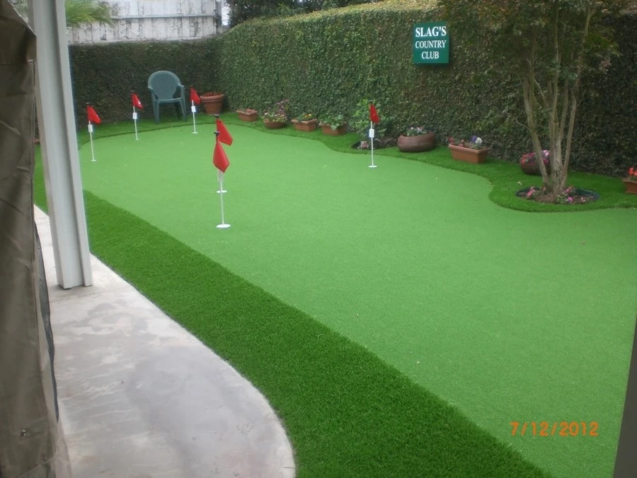 Save Pro Turf - Photo 13