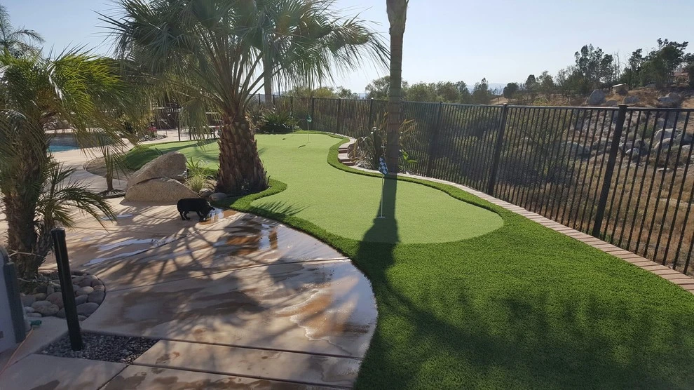 Save Pro Turf - Photo 11