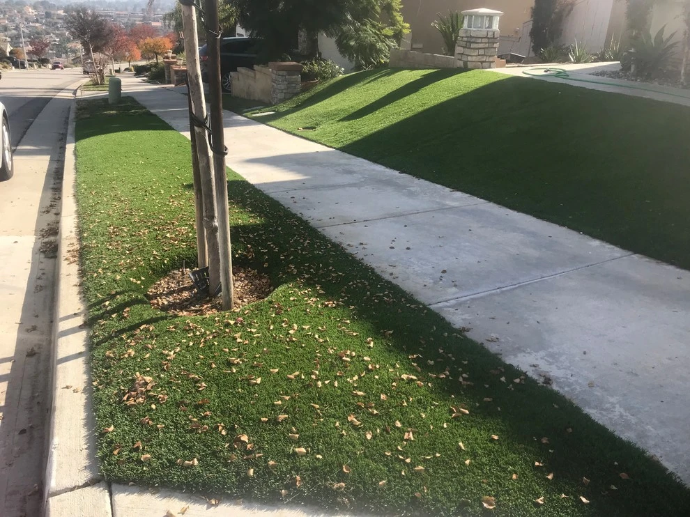 Lake Elsinore - Via De La Valle by Save Pro Turf - Photo 3